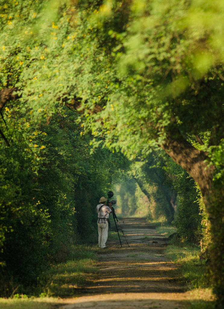 Photo of Keoladeo National Park, Bharatpur, Rajasthan, India by PS Anand