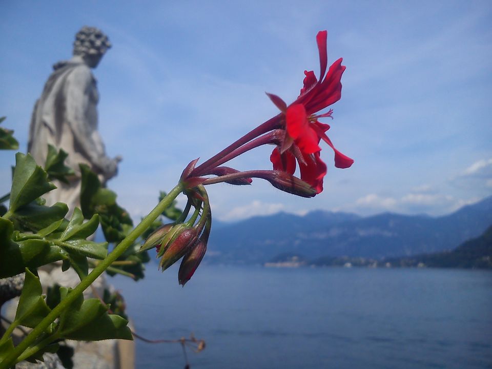 Photo of Villa del Balbianello ~ The diamond of Lenno in Lake Como 7/18 by Amitayu Banerjee