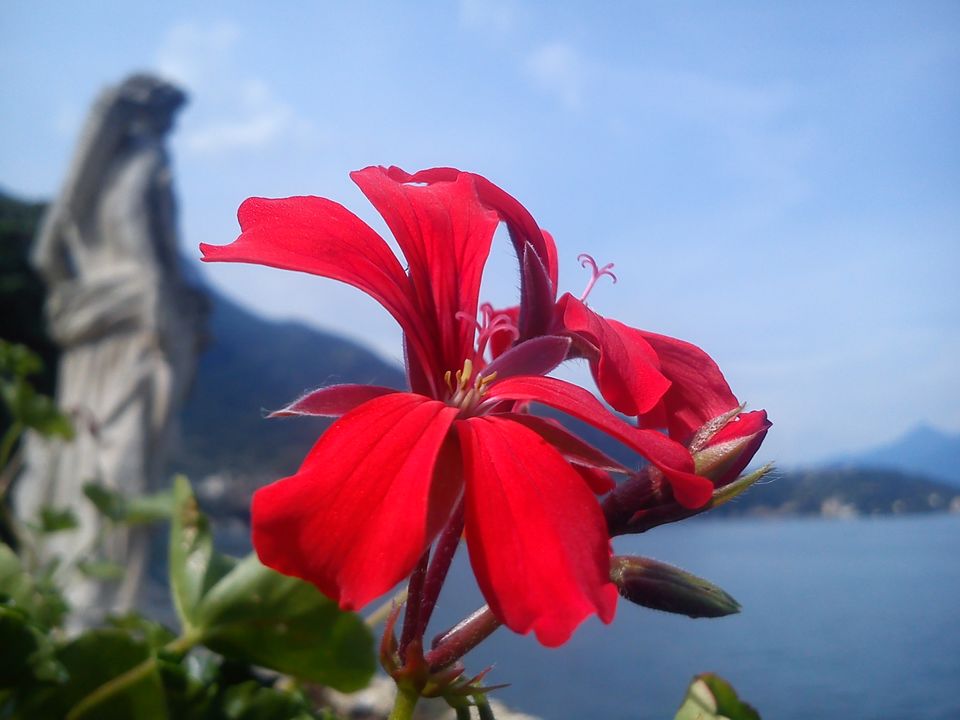 Photo of Villa del Balbianello ~ The diamond of Lenno in Lake Como 9/18 by Amitayu Banerjee