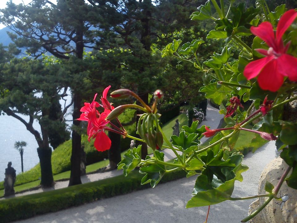 Photo of Villa del Balbianello ~ The diamond of Lenno in Lake Como 14/18 by Amitayu Banerjee