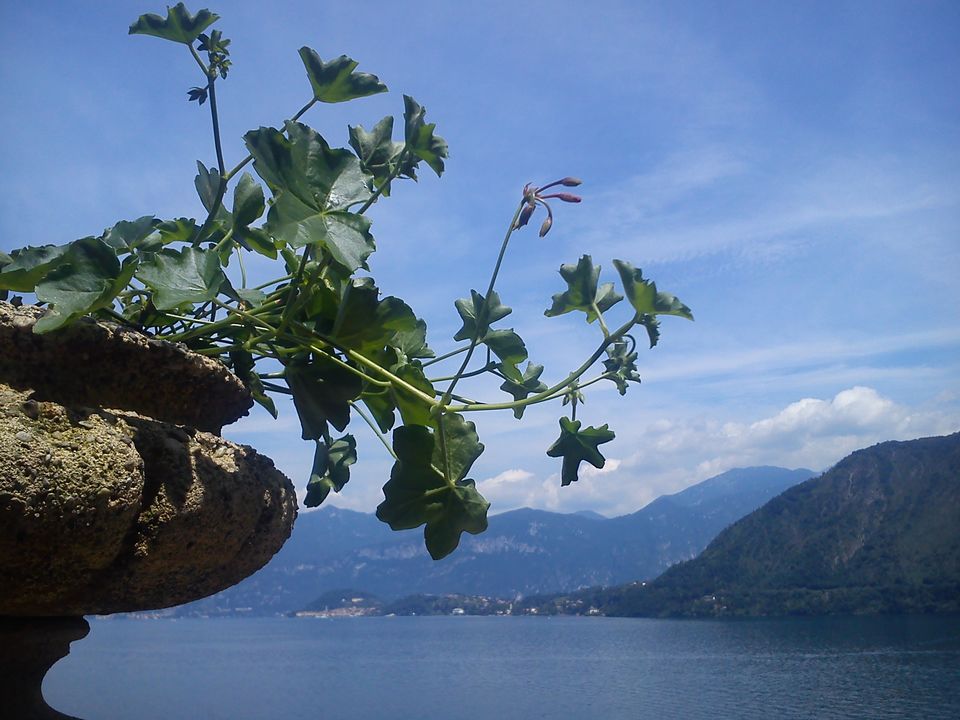 Photo of Villa del Balbianello ~ The diamond of Lenno in Lake Como 18/18 by Amitayu Banerjee
