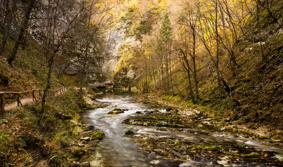 Photo of Vintgar Gorge, Podhom, Slovenia by Aarti Dayal