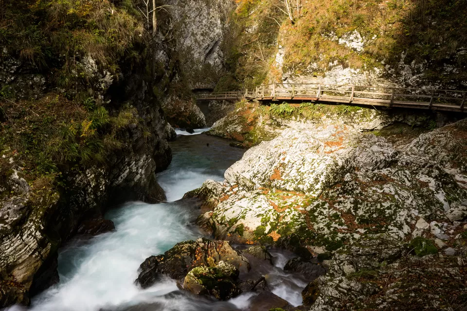 Photo of Vintgar Gorge, Podhom, Slovenia by Aarti Dayal