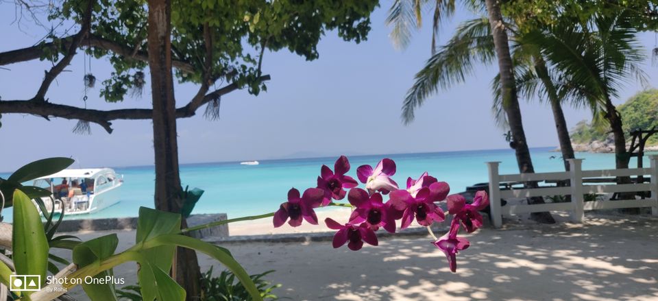 Photo of Phuket First Backpacking experience - A beautiful land with beautiful people by ROHIT GARUD