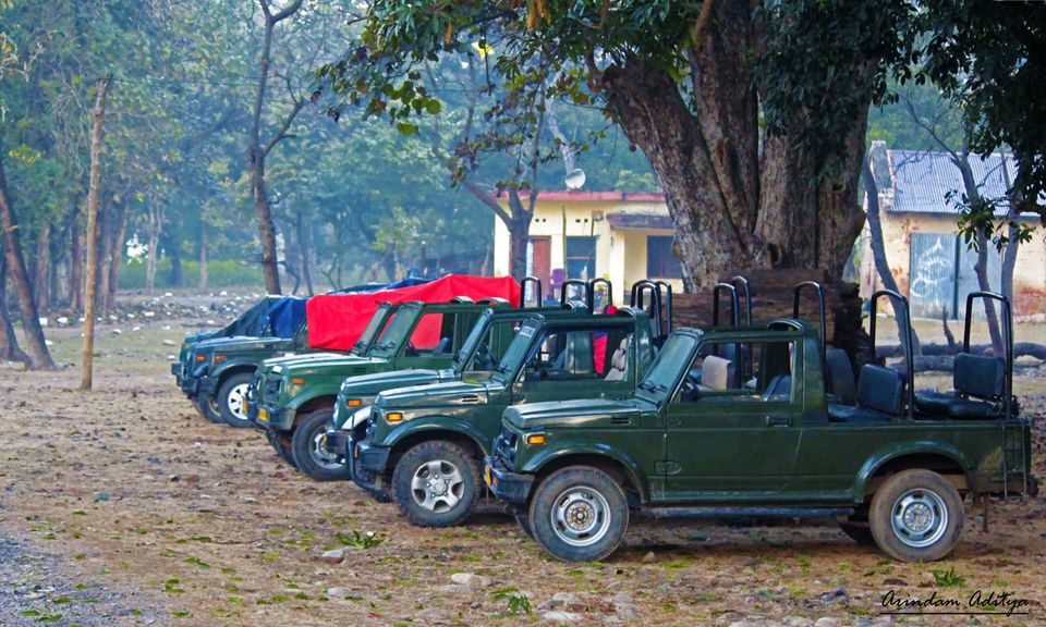 Photo of Dudhwa National Park, Palia Kalan, Uttar Pradesh, India by Arindam Aditya