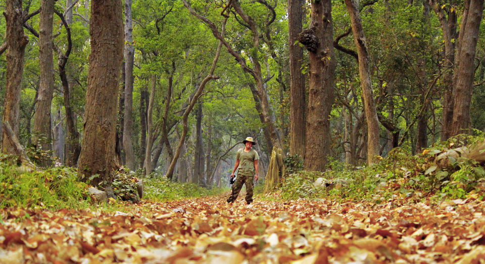 Photo of Dudhwa National Park, Palia Kalan, Uttar Pradesh, India by Arindam Aditya