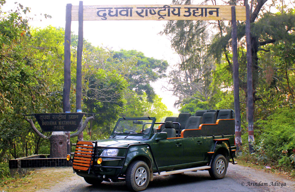 Photo of Dudhwa National Park, Palia Kalan, Uttar Pradesh, India by Arindam Aditya