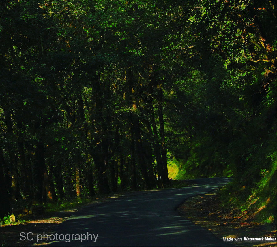 Photo of Solan, Himachal Pradesh, India by Siddharth Chugh