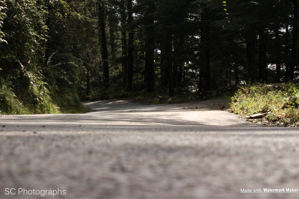 Photo of Solan, Himachal Pradesh, India by Siddharth Chugh