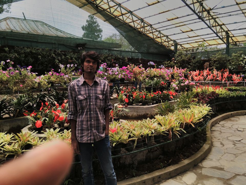Photo of Gangtok budget trip: Tips and tricks 6/8 by Somnath Verma
