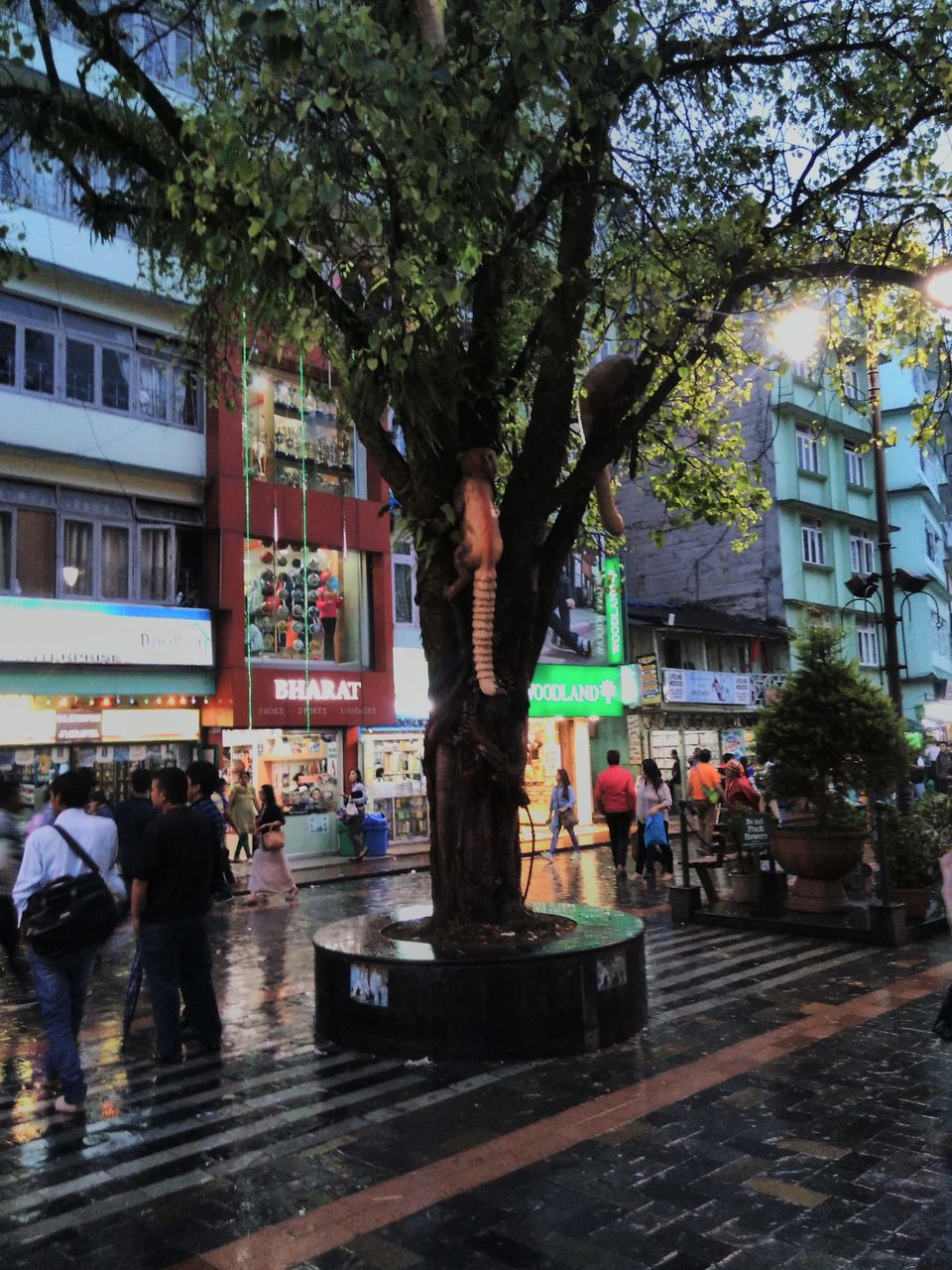 Photo of Gangtok budget trip: Tips and tricks 7/8 by Somnath Verma