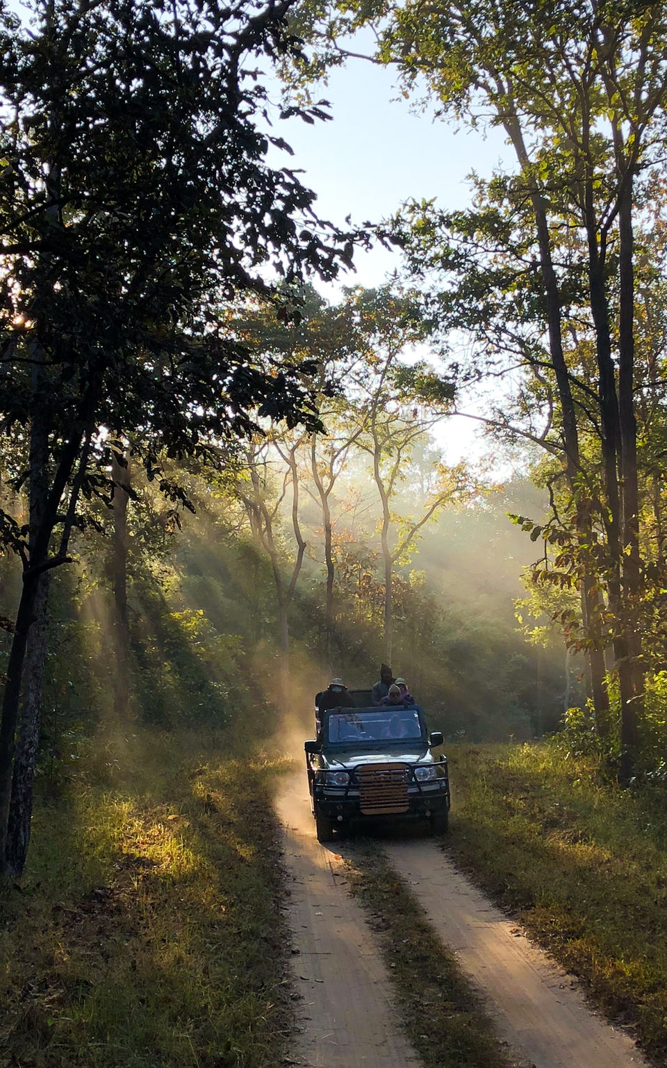 Photo of Hunting the tigers of Central India 3/11 by Apoorv Karlekar