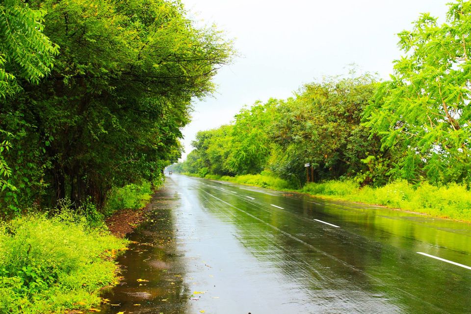 Photo of The Beauty of Saurastra 1/25 by Chandresh Madhak