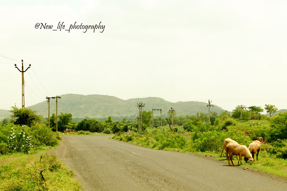 Photo of The Beauty of Saurastra 19/25 by Chandresh Madhak