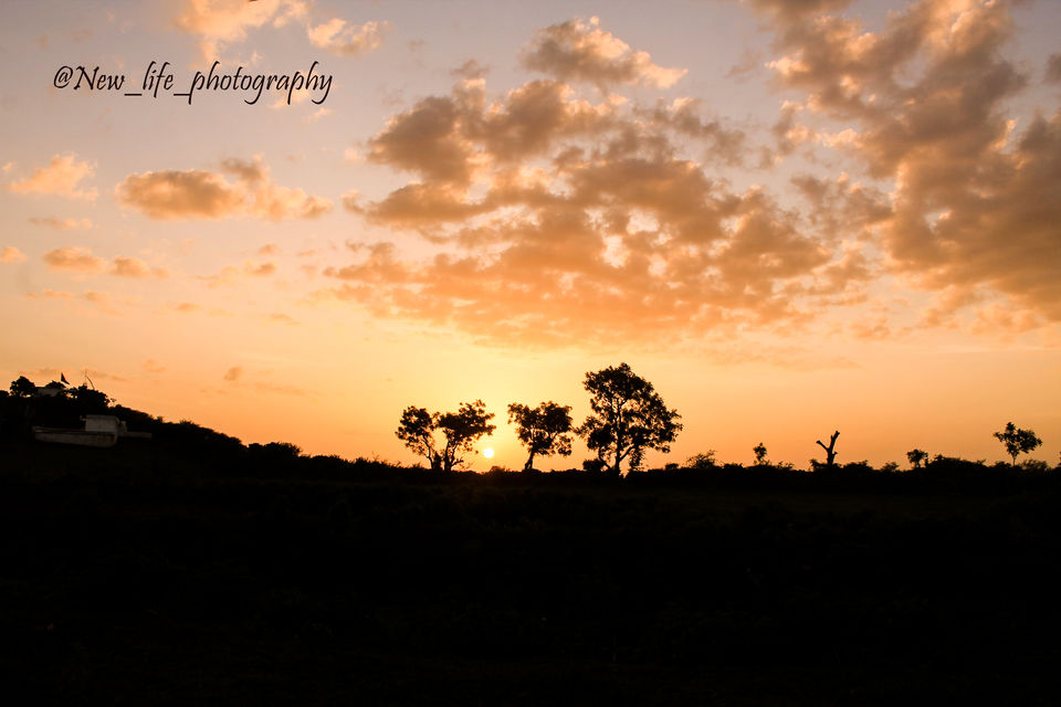 Photo of The Beauty of Saurastra 22/25 by Chandresh Madhak