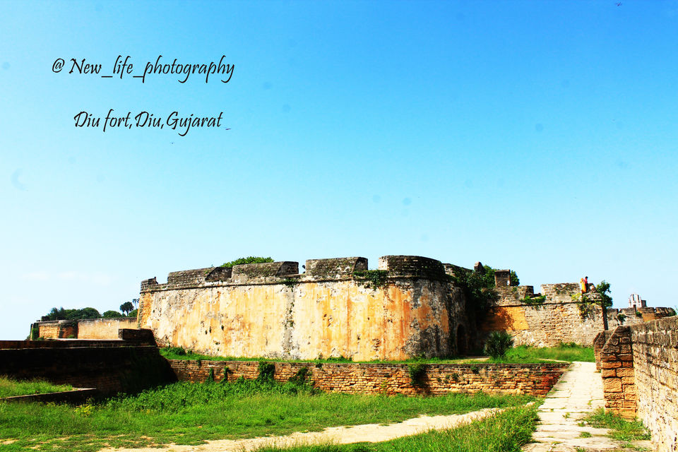 Photo of The Beauty of Saurastra 23/25 by Chandresh Madhak