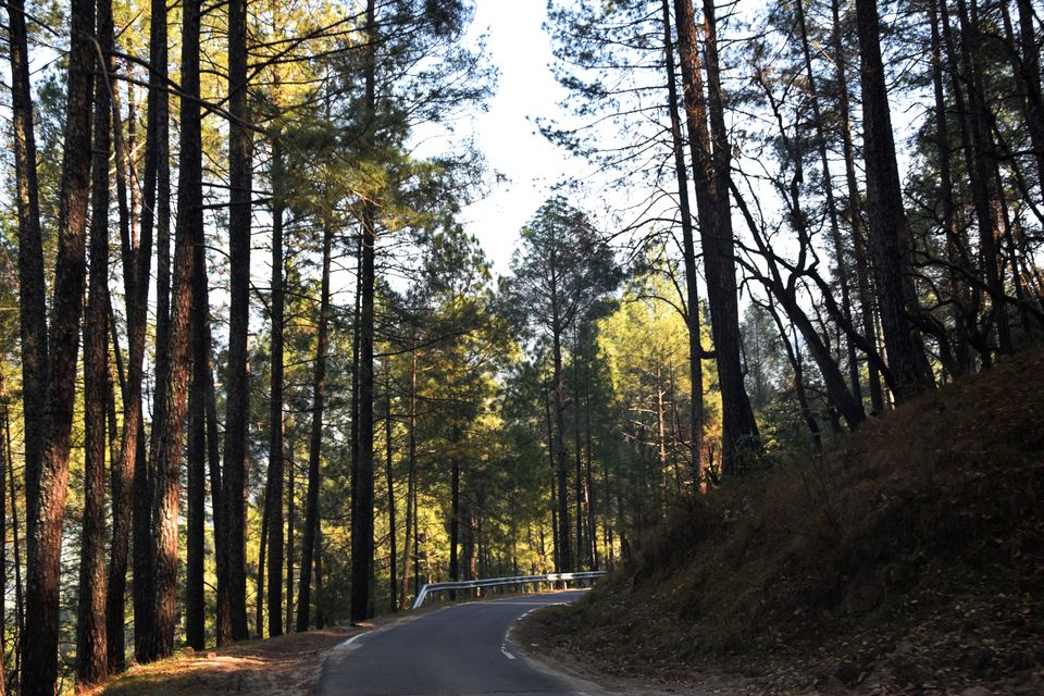 Photo of Gainchwan Gaon, Uttarakhand, India by Arnab Chakravarty