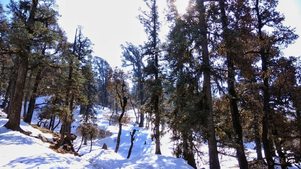 Photo of That time I climbed a Himalayan Giant with my father. by Arnab Chakravarty