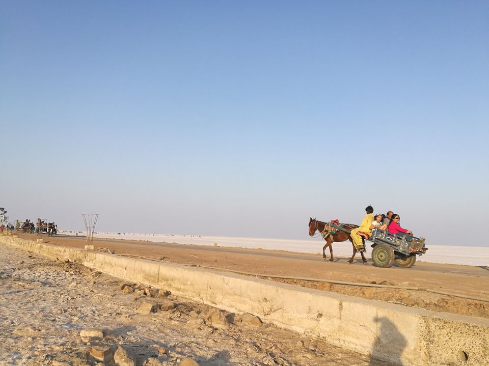 Photo of My journey to Rann of Kutch, Gujarat - India 4/10 by Aanya Verma