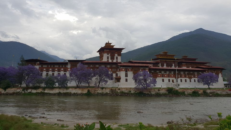 Photo of Bhutan from the eyes of an 8 year old 8/29 by Aanya Verma