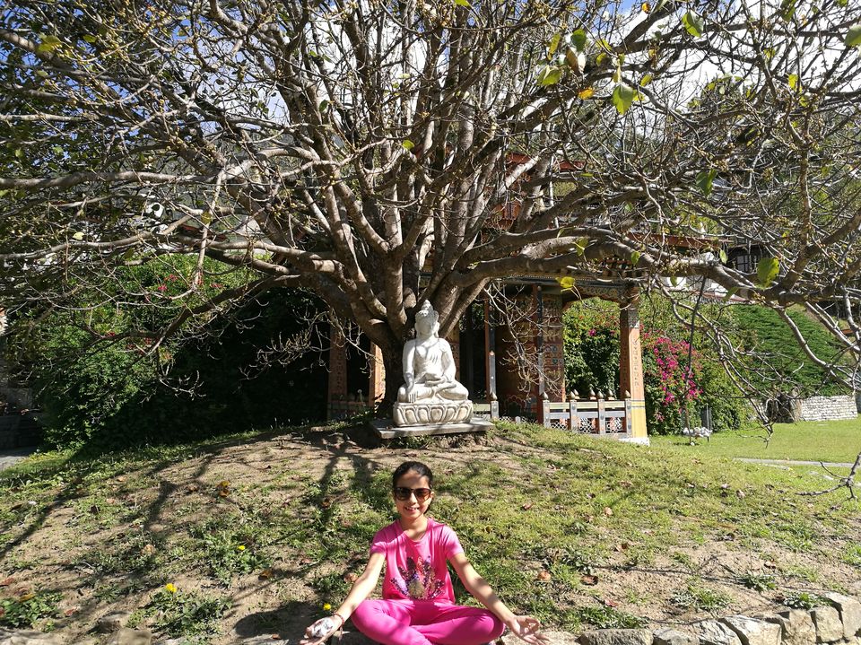 Photo of Bhutan from the eyes of an 8 year old 17/29 by Aanya Verma