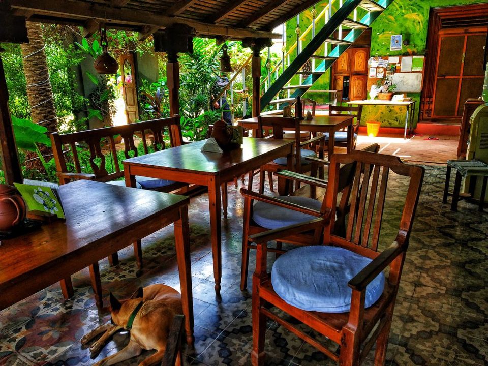 Photo of Solo in Auroville and Pondicherry! by Heena Kohli