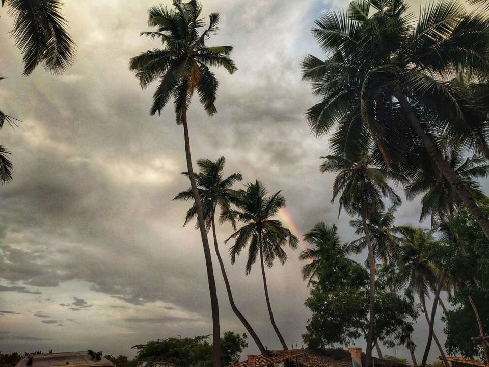 Photo of Solo in Auroville and Pondicherry! by Heena Kohli