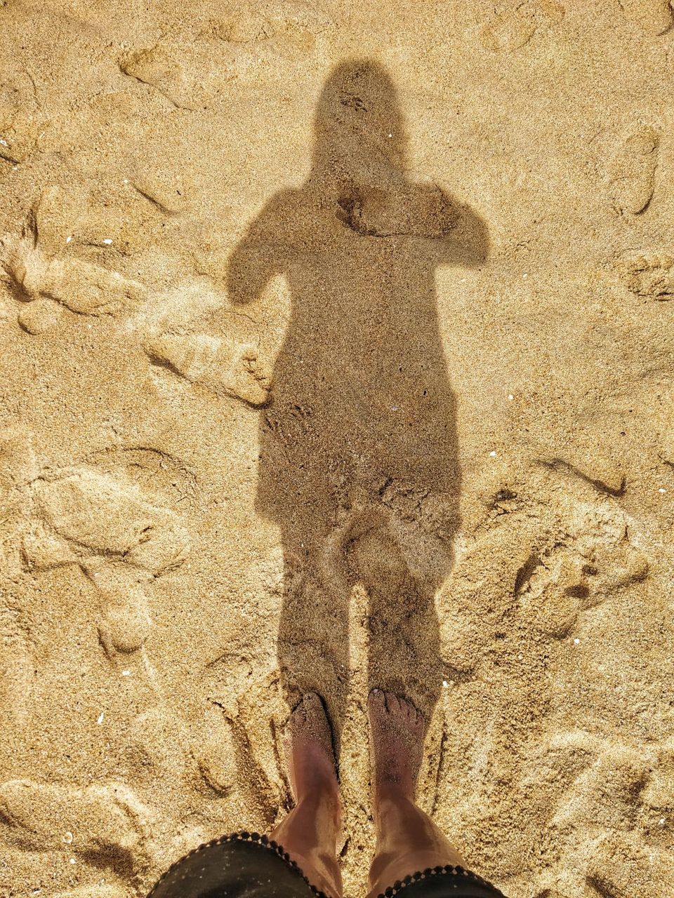 Photo of Solo in Auroville and Pondicherry! by Heena Kohli