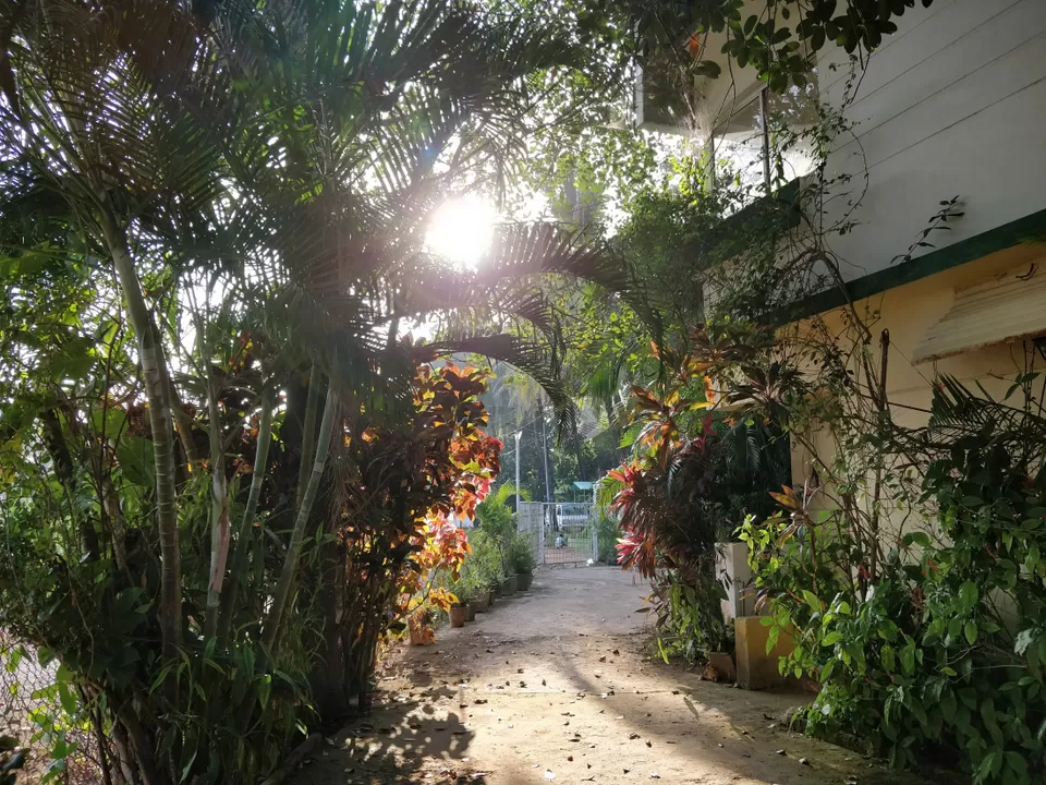 Photo of Goa Palms Resort, Doctor Pundlik Gaitonde Road, Palolem, Canacona, Goa, India by Heena Kohli