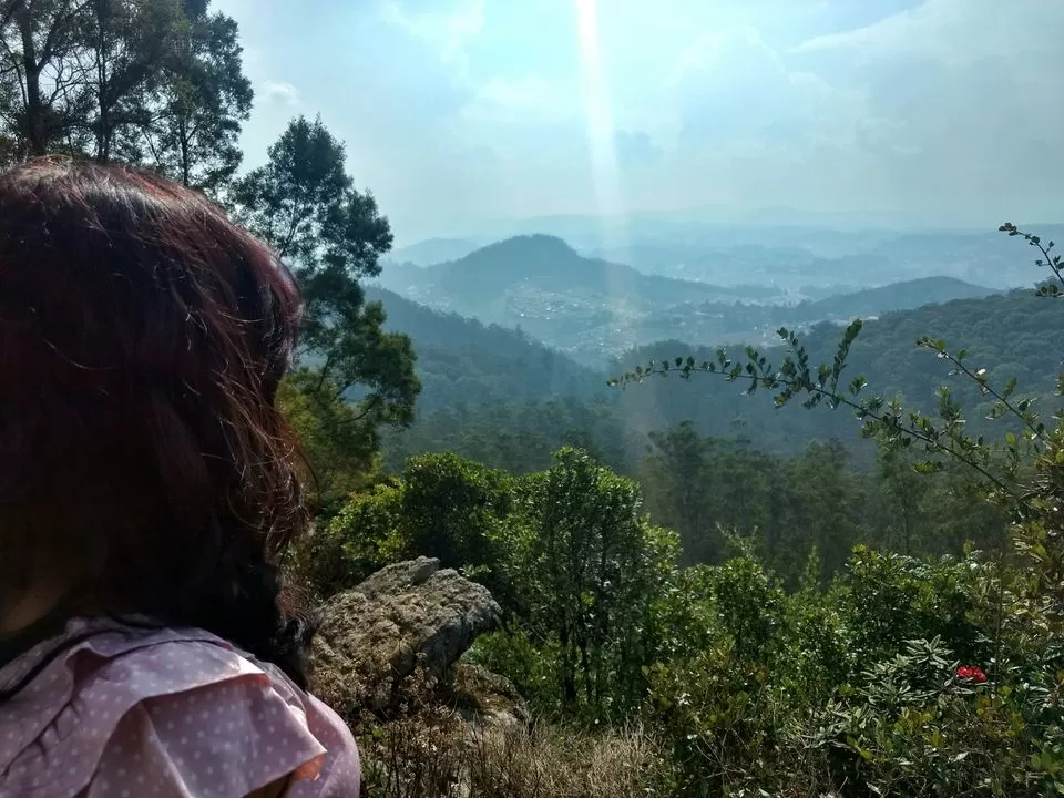 Photo of Nilgiris, Tamil Nadu, India by Heena Kohli