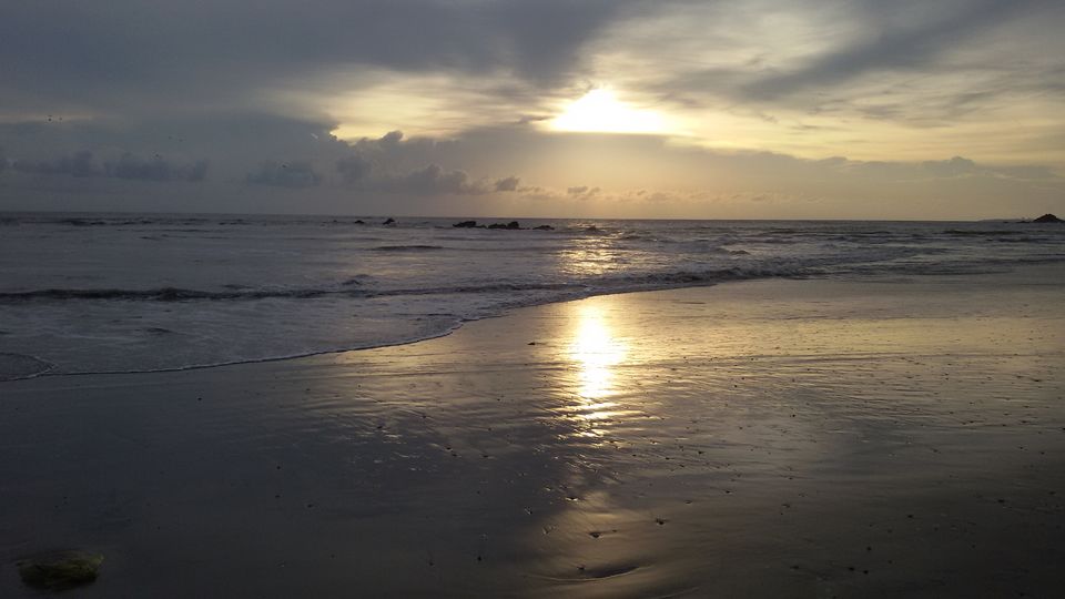 Photo of One day trip to Dharmadam Island, Thalassery, Kerala by Jobin Thannippara