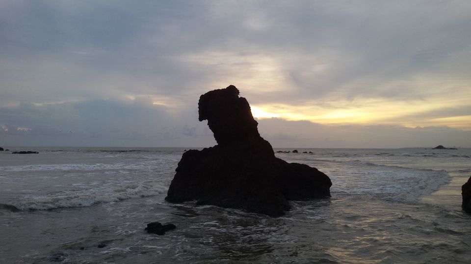 Photo of One day trip to Dharmadam Island, Thalassery, Kerala by Jobin Thannippara