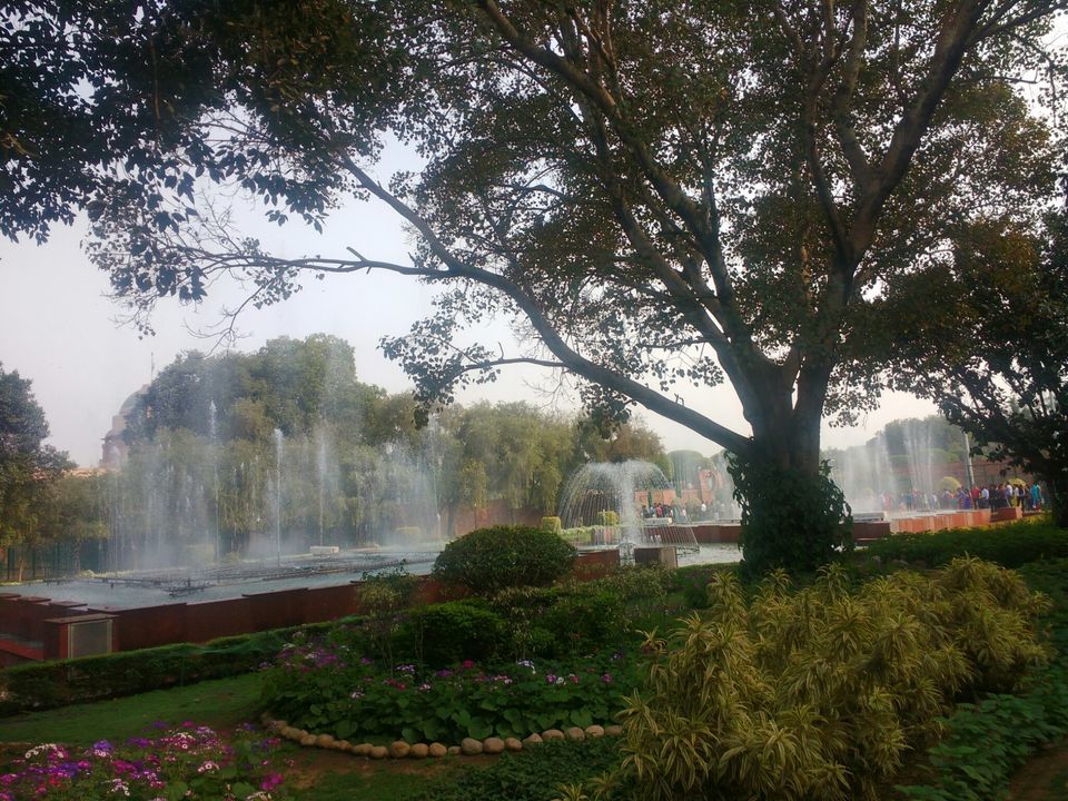 Photo of Mughal Gardens, New Delhi by Surbhi Mittal