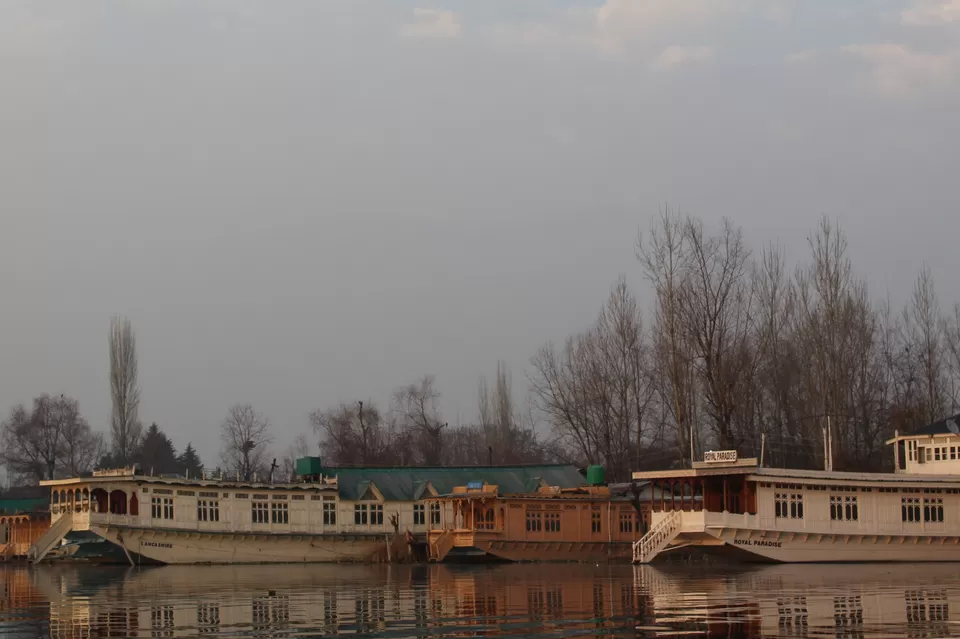 Photo of Nigeen Lake, Srinagar by Surbhi Mittal