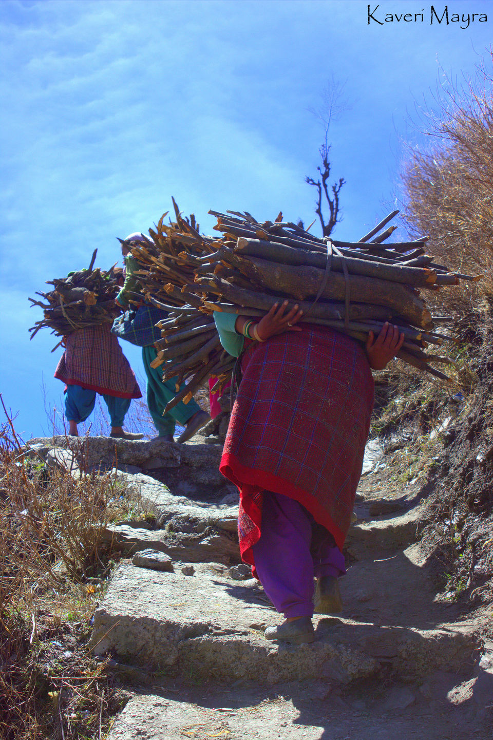 Photo of Malana: The land where Alexander The Great roamed! 11/24 by Kaveri Mayra