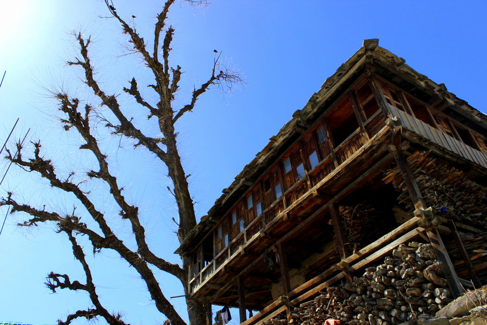 Photo of Malana: The land where Alexander The Great roamed! 16/24 by Kaveri Mayra