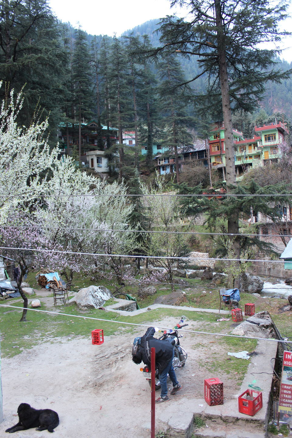 Photo of Malana: The land where Alexander The Great roamed! 19/24 by Kaveri Mayra