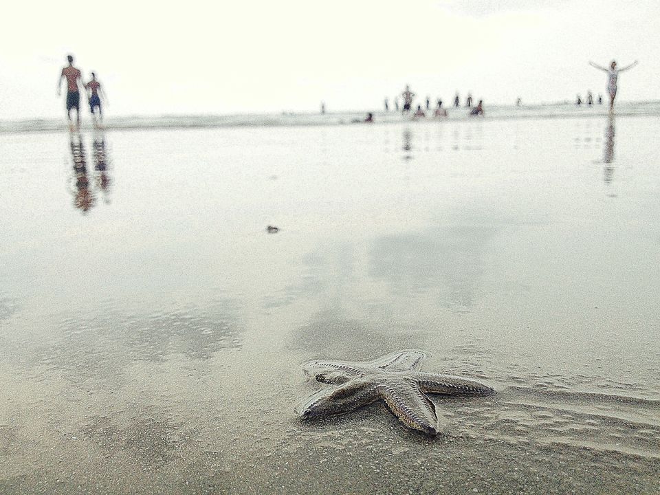 Photo of Star Struck at Digha?! 3/5 by Kaveri Mayra