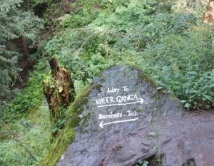 Photo of "Remembering Kheerganga" - An Ultimate Trekking Experience ! - HER TRAVEL TALES 2/9 by Priya Chani