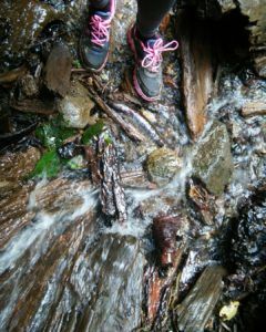 Photo of "Remembering Kheerganga" - An Ultimate Trekking Experience ! - HER TRAVEL TALES 5/9 by Priya Chani