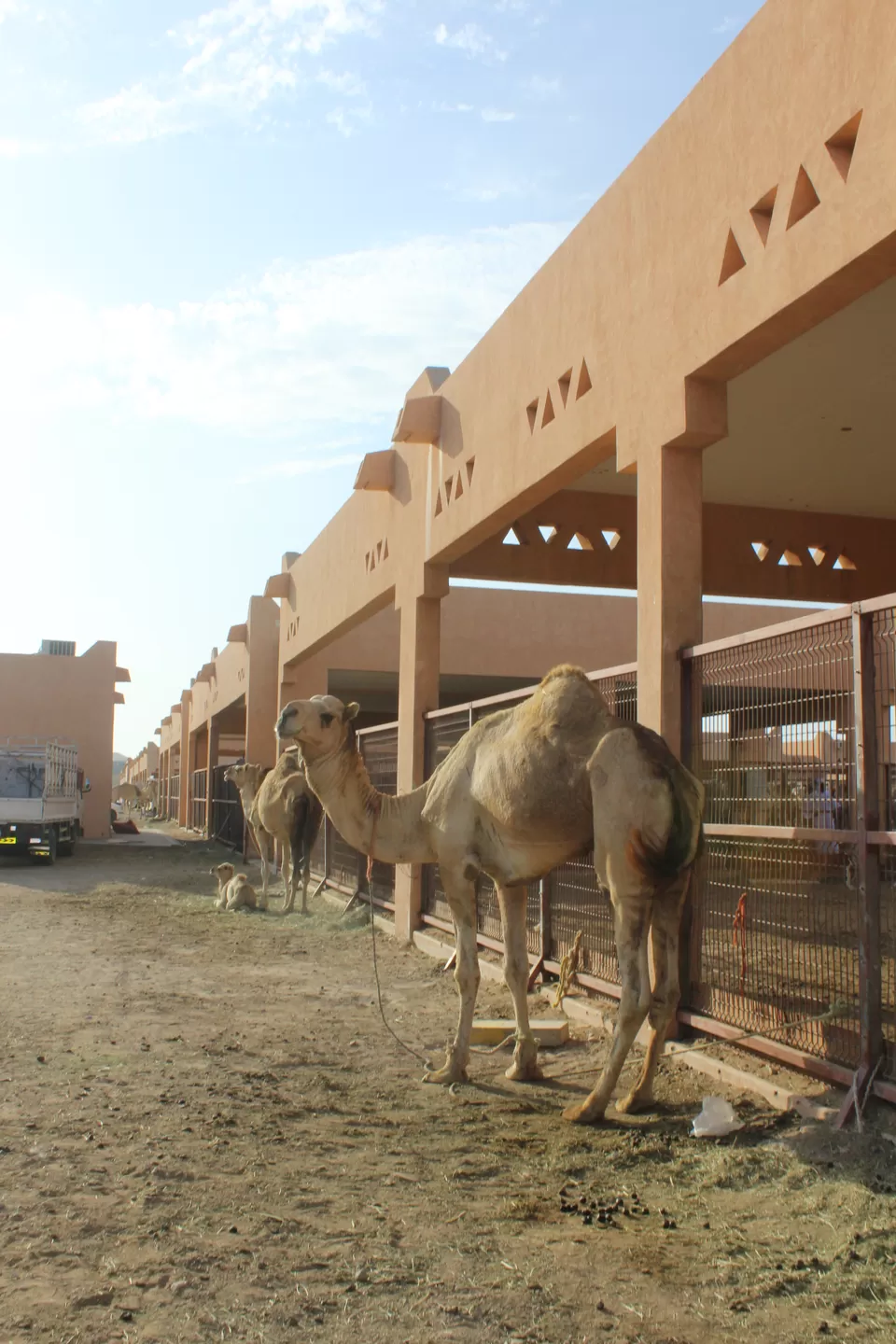 Photo of Al Ain Central Market (Al Ain Souq) - Zayed Bin Sultan Street - Abu Dhabi - United Arab Emirates by Sweta V Sawant