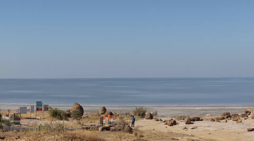 Photo of Rann of Kutch Lake by Snigdha Gupta