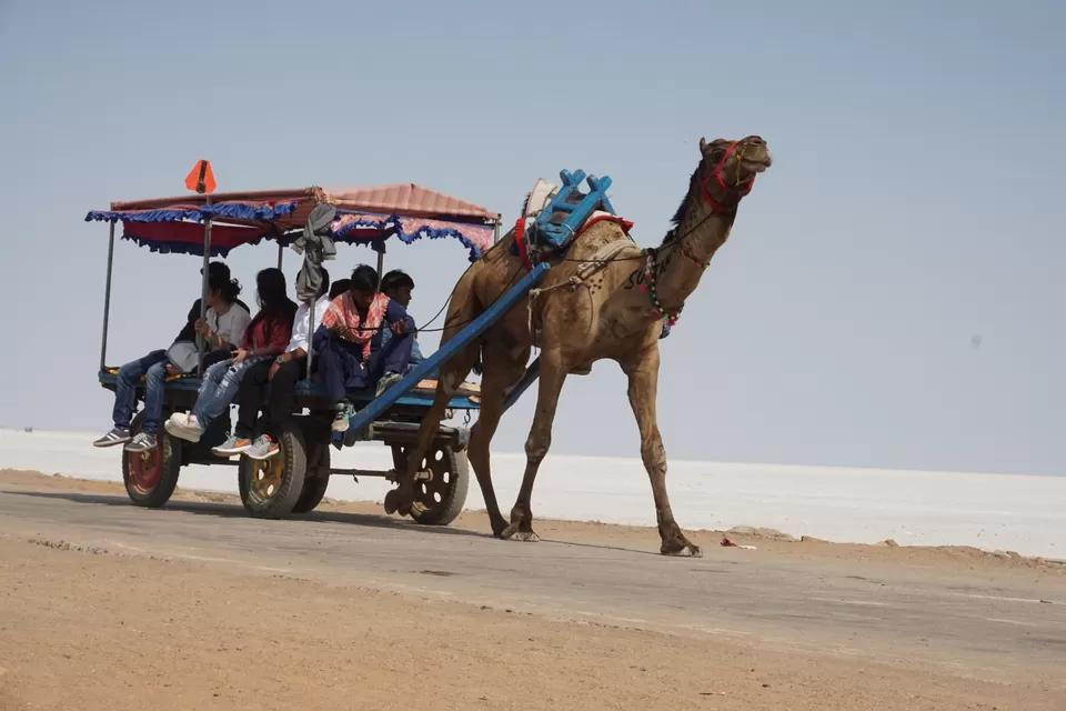Photo of Great Rann of Kutch, Gujarat by Snigdha Gupta