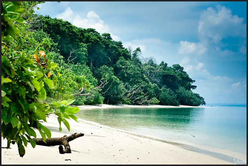 Photo of Andaman and Nicobar Islands, India by Suprita Mitter