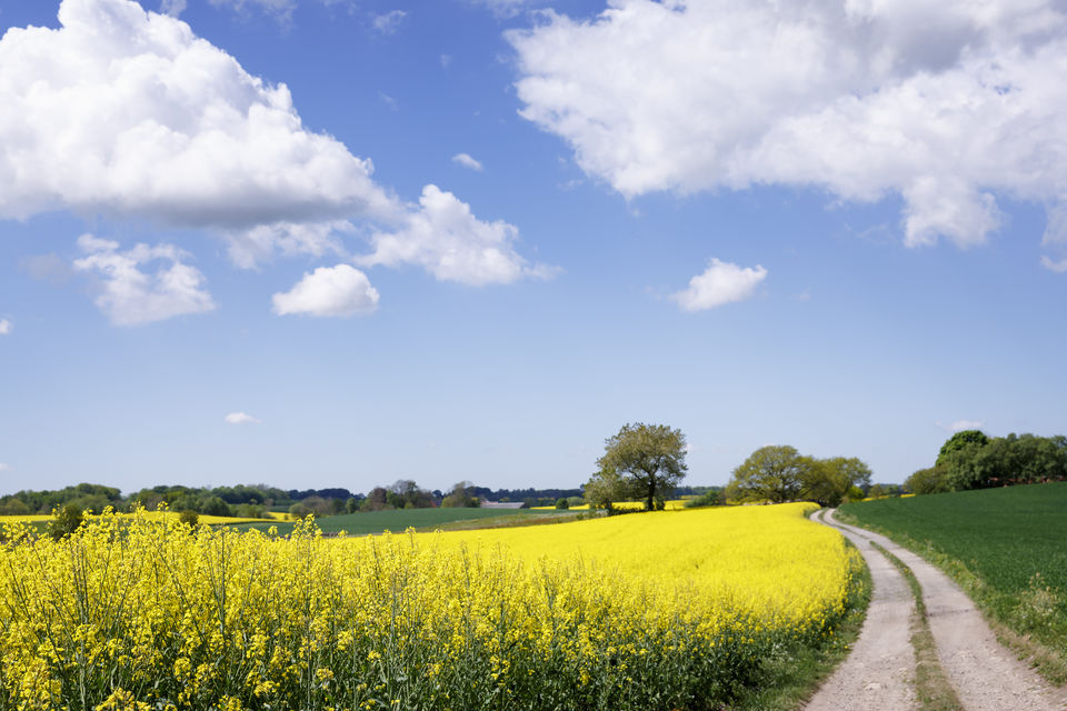 Photo of 7 reasons why your visit to Skåne is going to be unlike any other 1/2 by Suprita Mitter