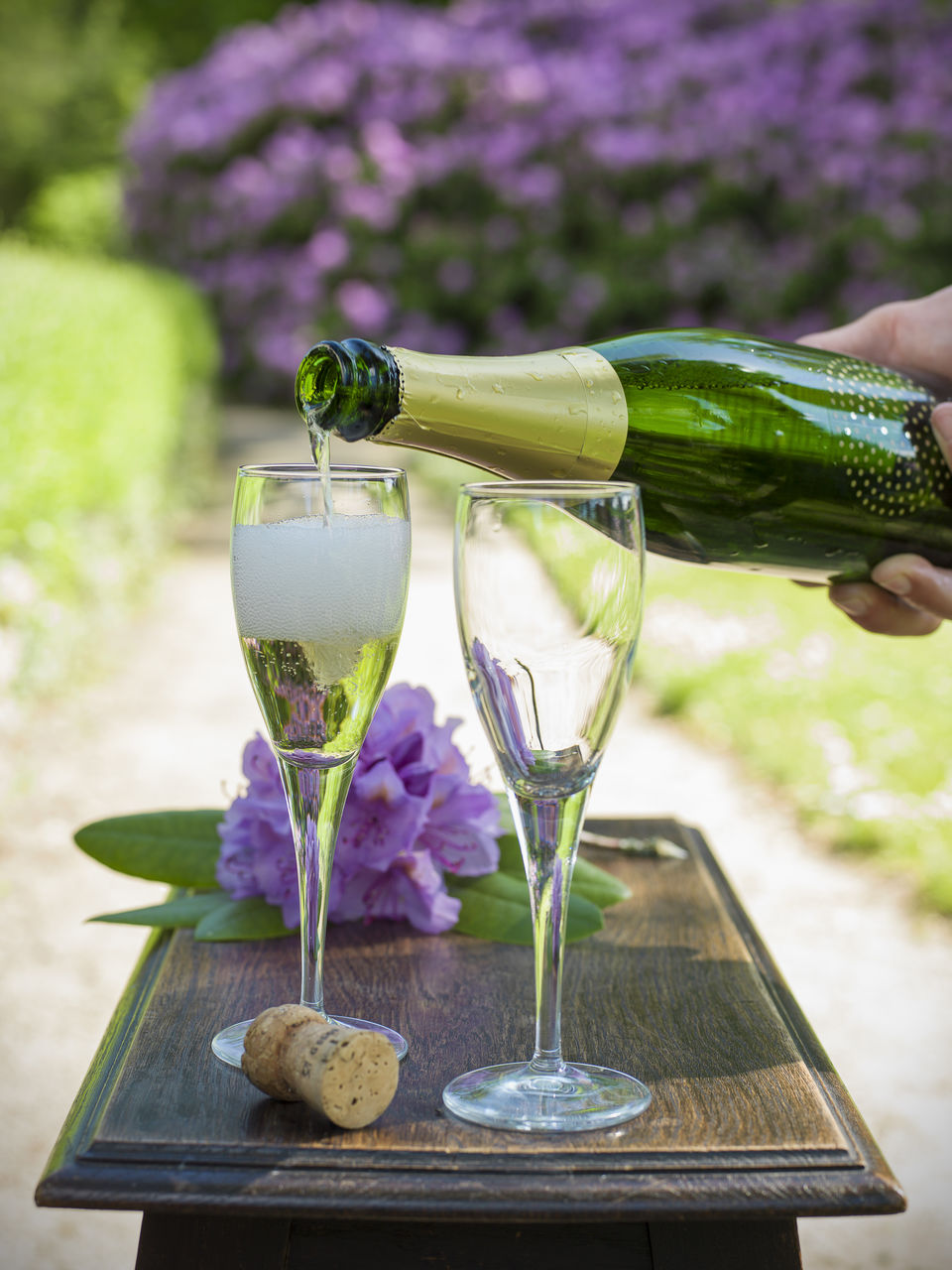 Photo of 7 reasons why your visit to Skåne is going to be unlike any other by Suprita Mitter