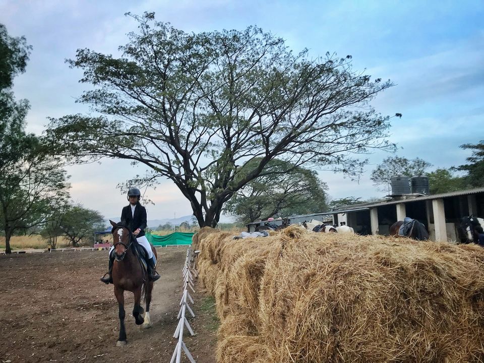 Photo of Learn To Love, Care And Ride At This Equestrian Centre, Just Two Hours Away From Mumbai by Suprita Mitter