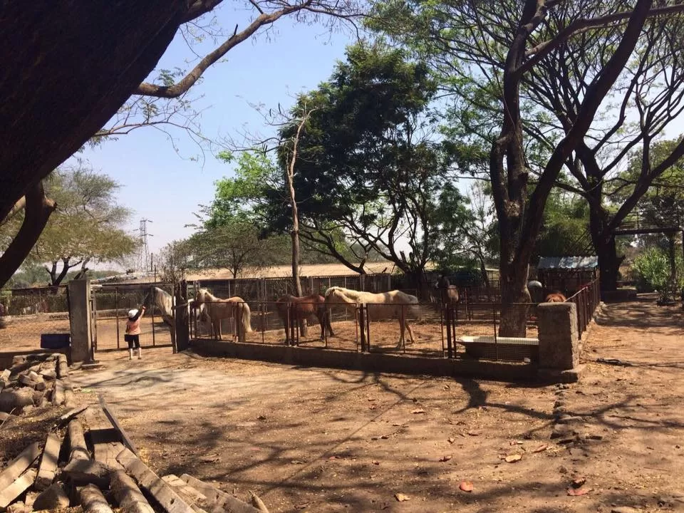 Photo of Japalouppe Equestrian Centre, Pune, Maharashtra, India by Suprita Mitter