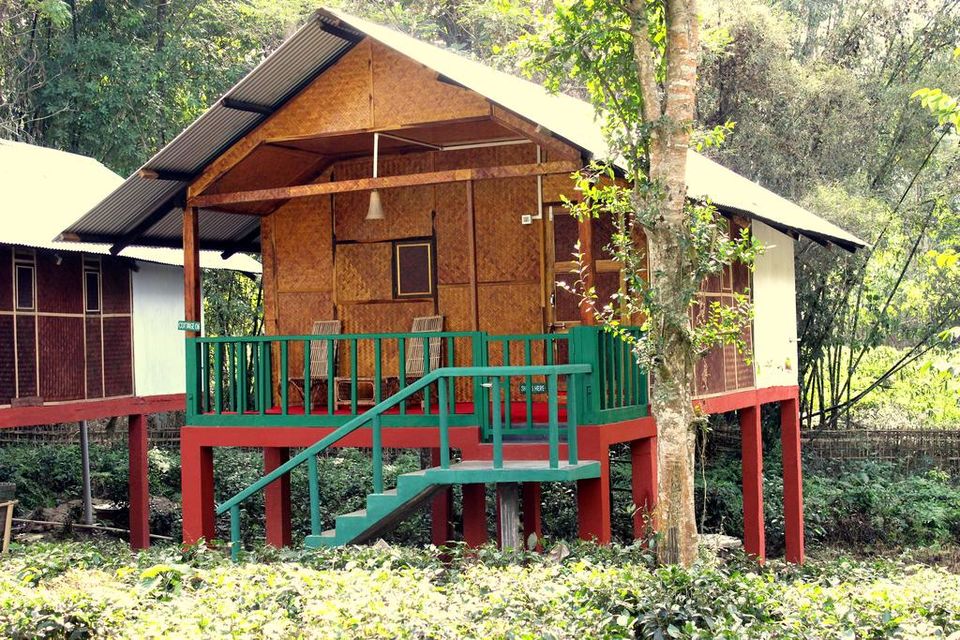 Photo of All You Need To Know About The Kaziranga National Park by Suprita Mitter