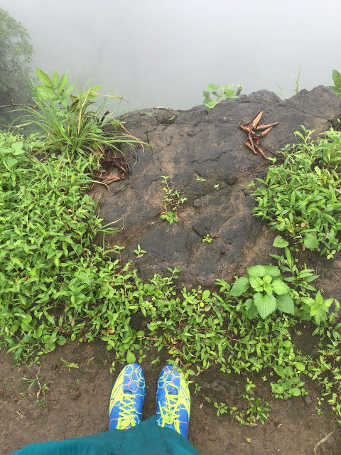 Photo of Monsoon trek to Andharban, the dark forest! by Jul Sharlin